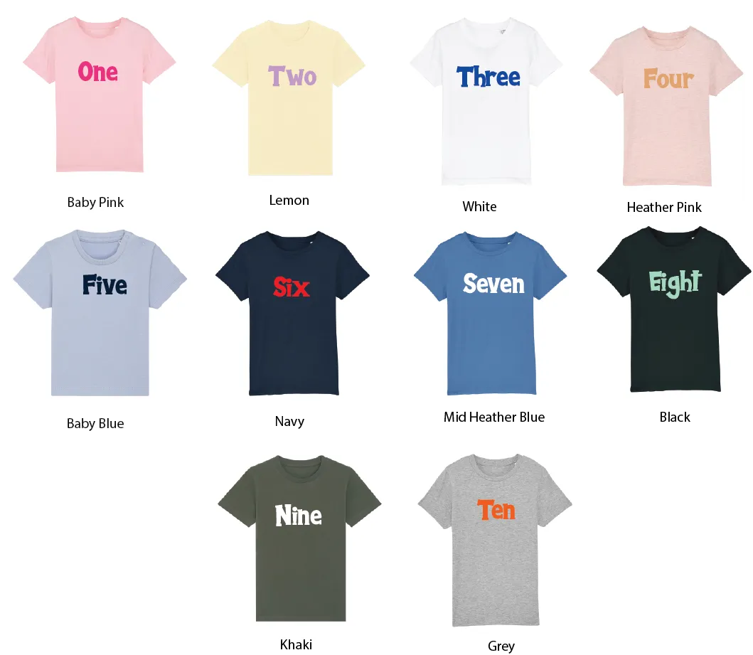 Birthday Boy Milestone T-shirt Age One & Two