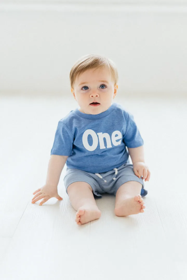 Birthday Boy Milestone T-shirt Age One & Two