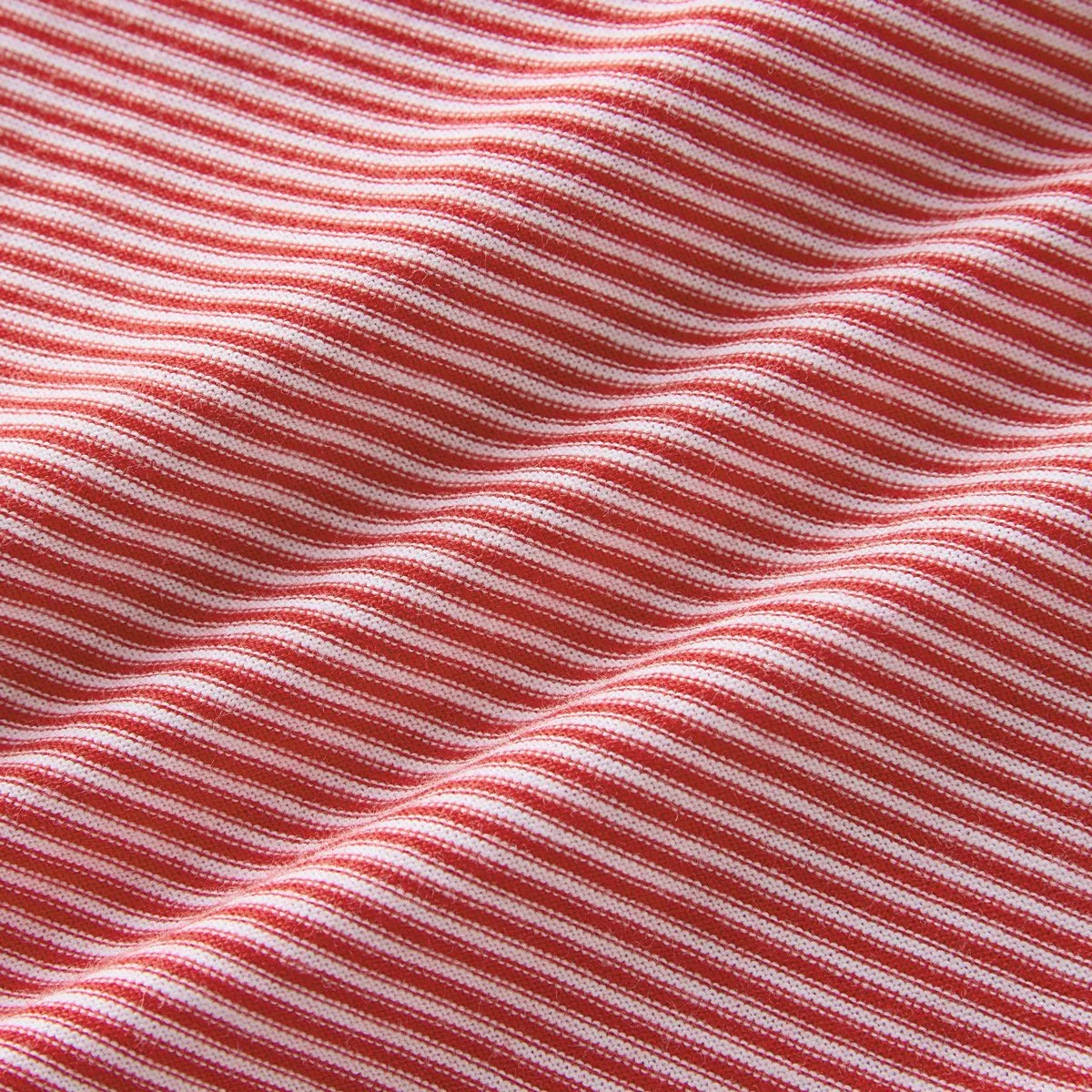 Bunny on Collar Shirt