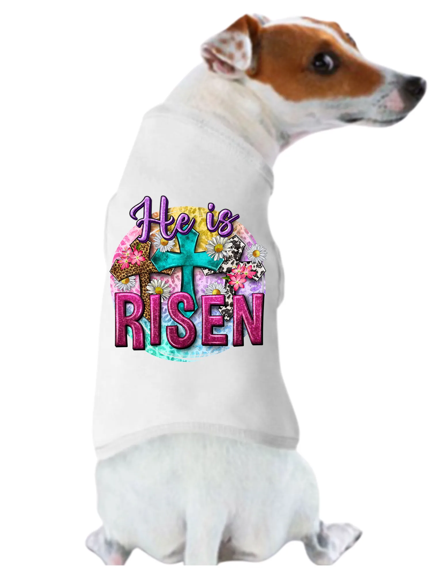Easter Tee Shirts: He is Risen
