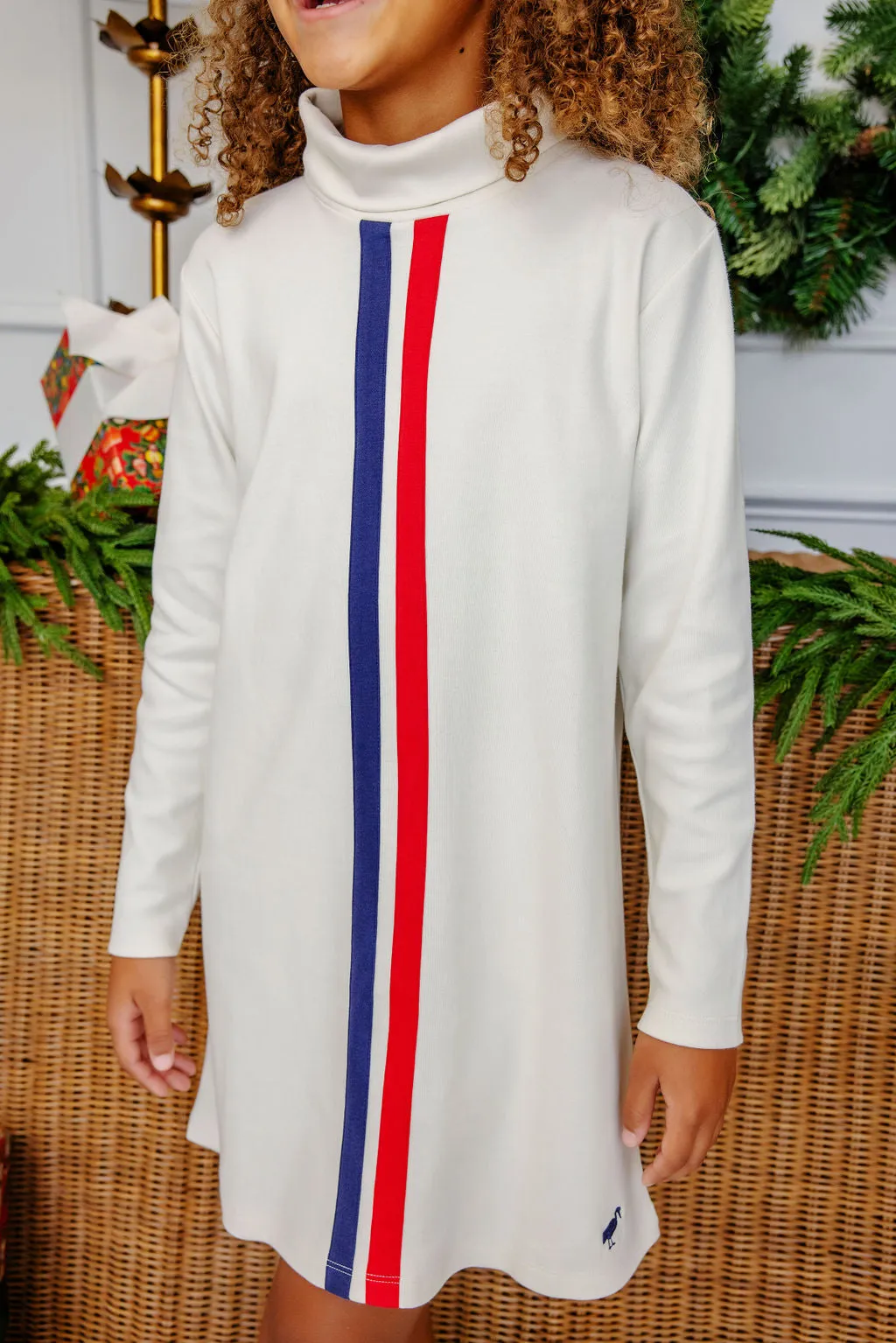 Tatum's Turtleneck Dress - Palmetto Pearl with Nantucket Navy and Richmond Red Stripes & Nantucket Navy Stork