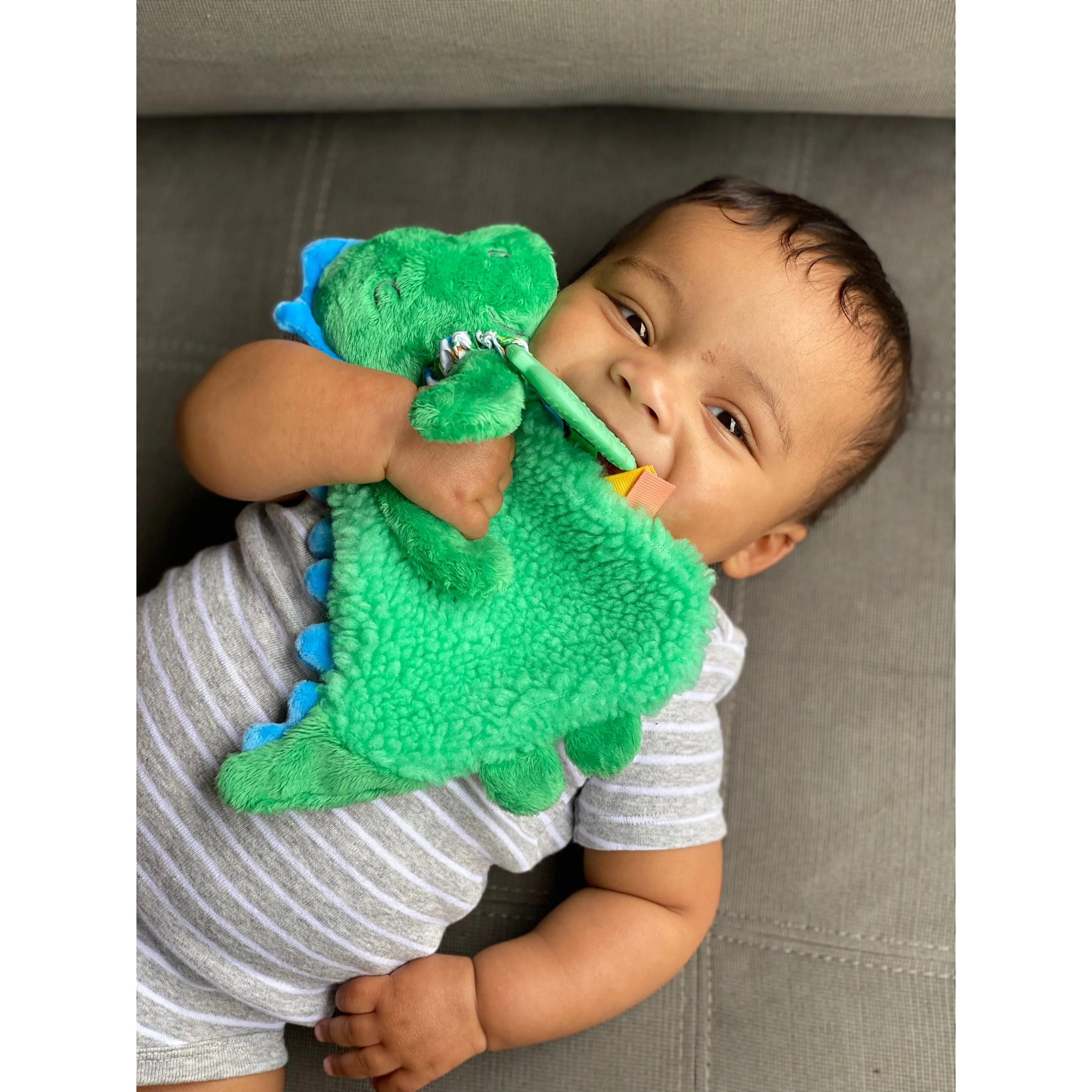 The Lovey Plush Teether - James The Dino