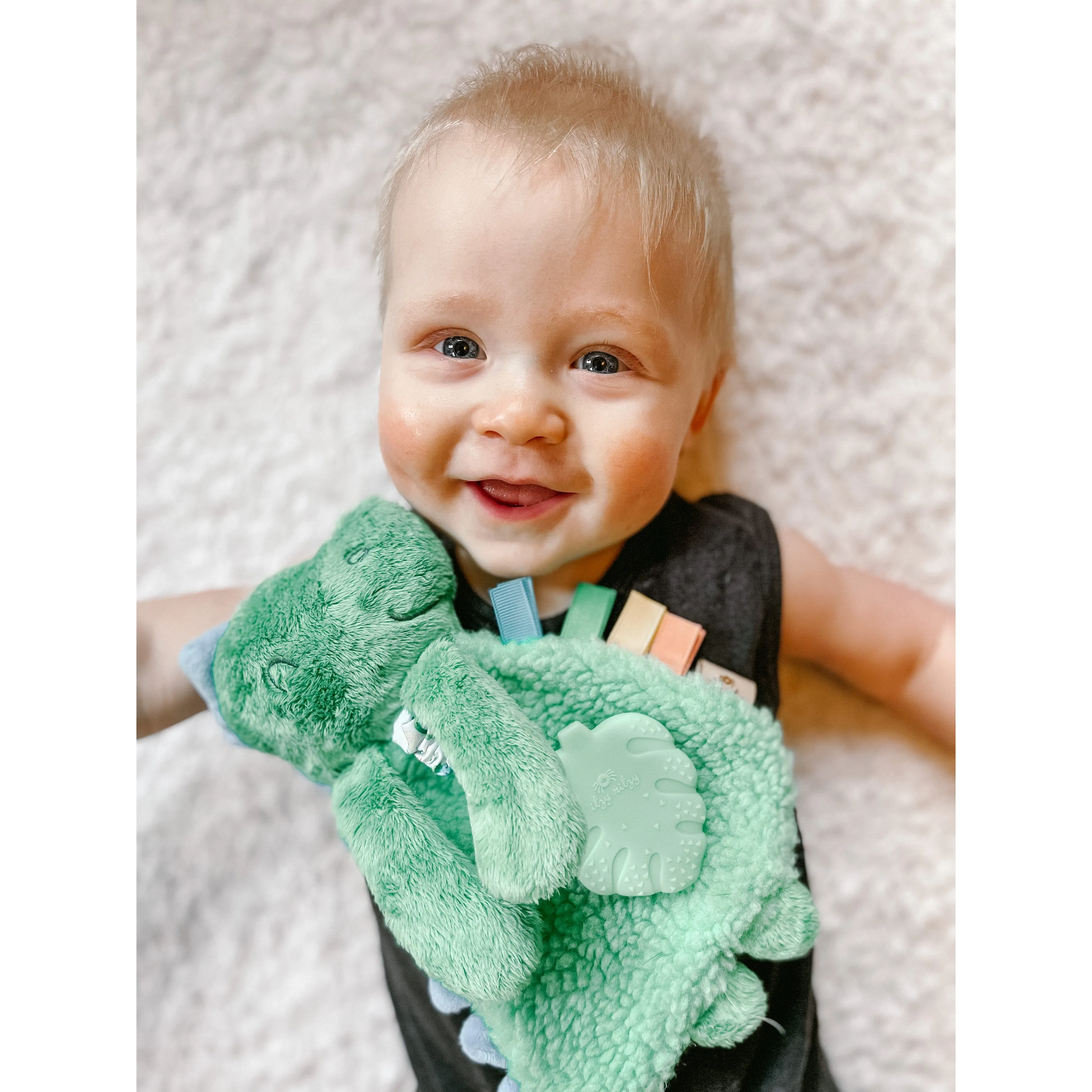 The Lovey Plush Teether - James The Dino