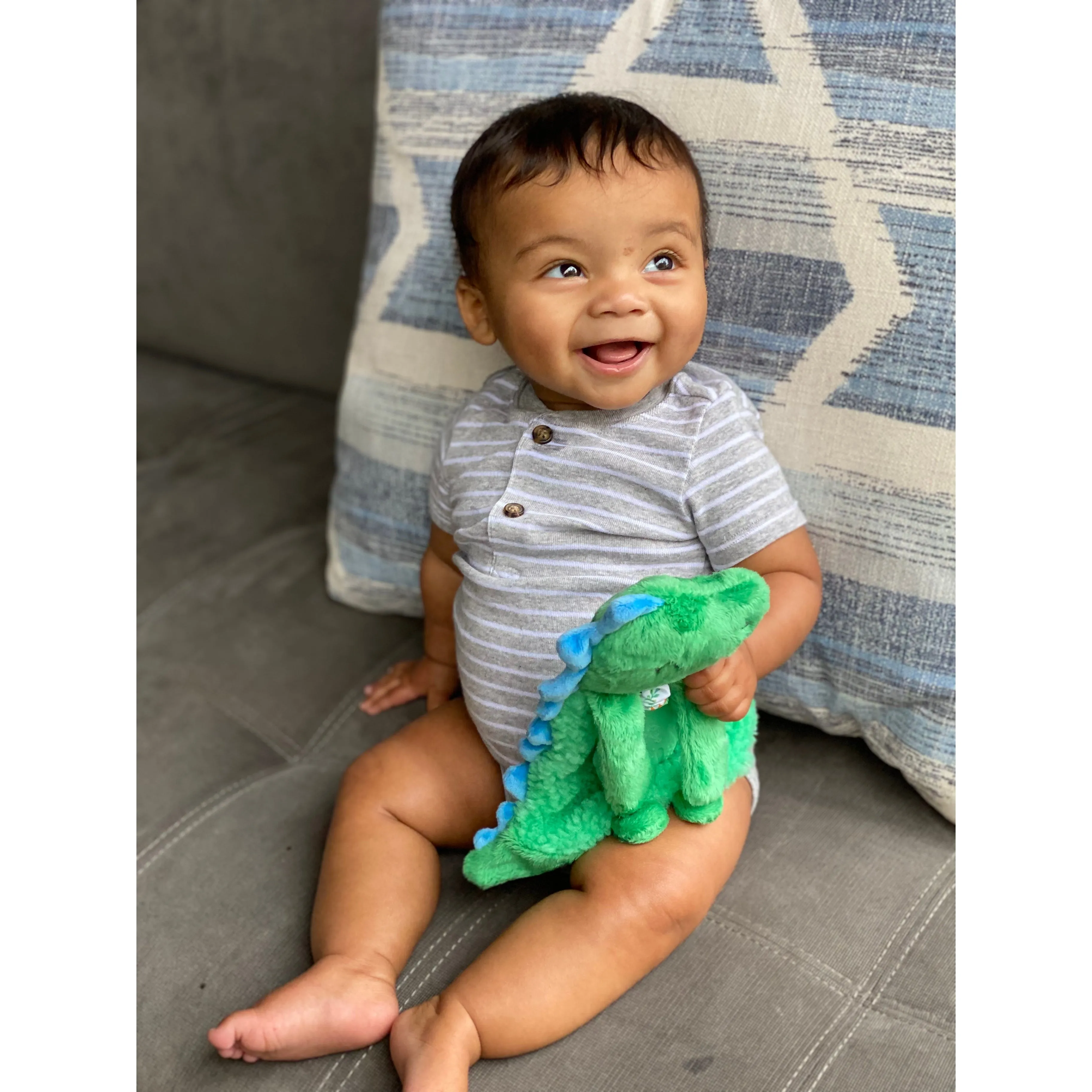 The Lovey Plush Teether - James The Dino