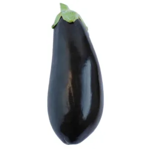 Watts Farms Aubergine Large 1pc